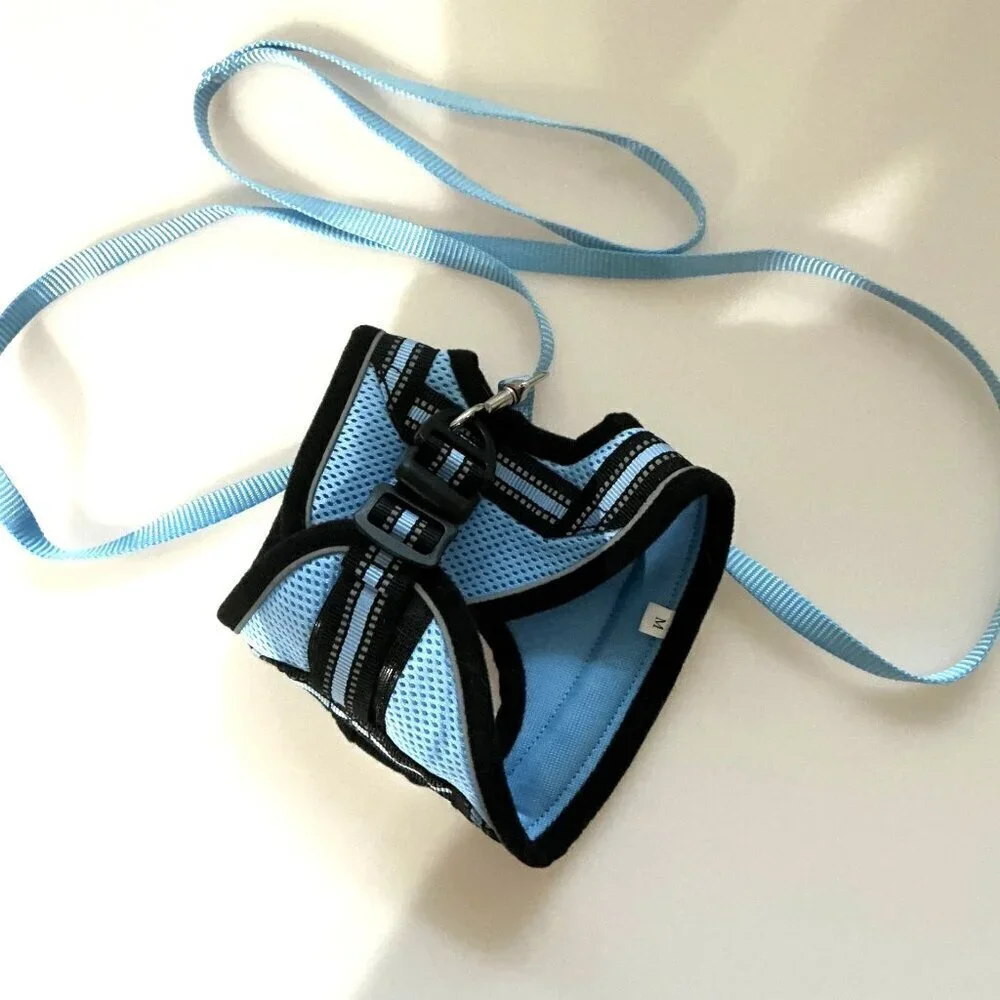 CAT HARNESS AND LEASH SET ADJUSTABLE BLUE MEDIUM